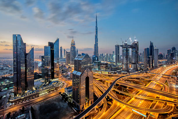 Daily Democracy Today | Comprehensive Guide to Company Formation Options in Dubai